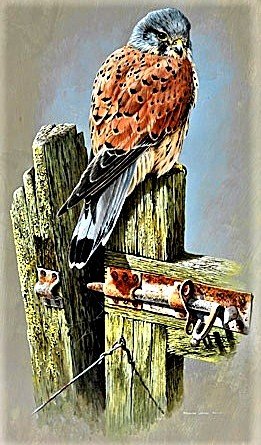 №1886714 - птицы - оригинал