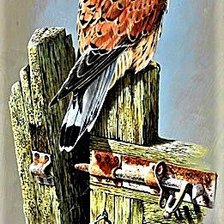 Схема вышивки «№1886714»