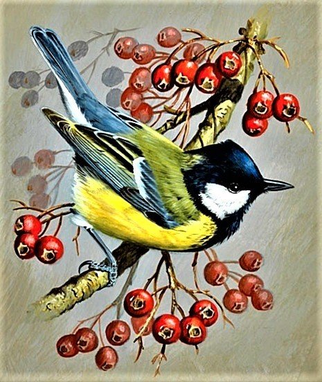 №1886715 - птицы - оригинал