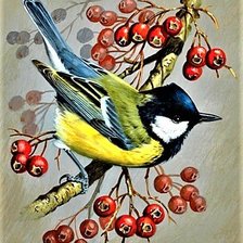 Схема вышивки «№1886715»