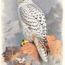 Схема вышивки «№1886746»