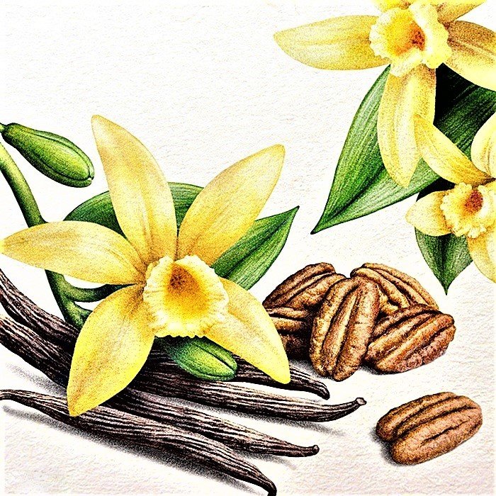 №1886747 - ваниль - оригинал