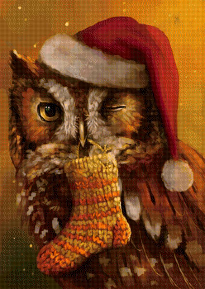 Сова в шапочке - птица, сова, рисунок, птичка - предпросмотр