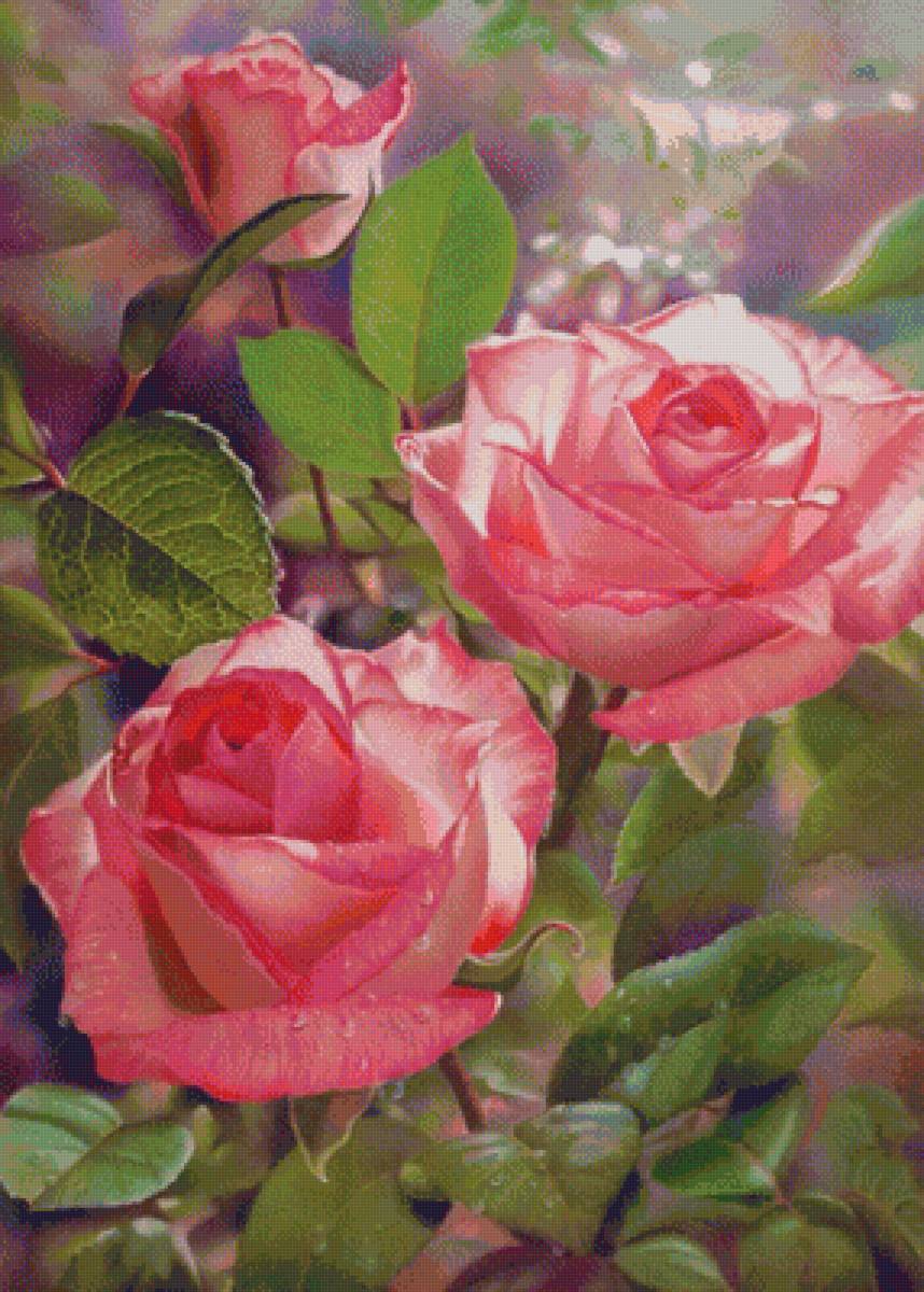 Розы - рисунок, цветы, розы - предпросмотр