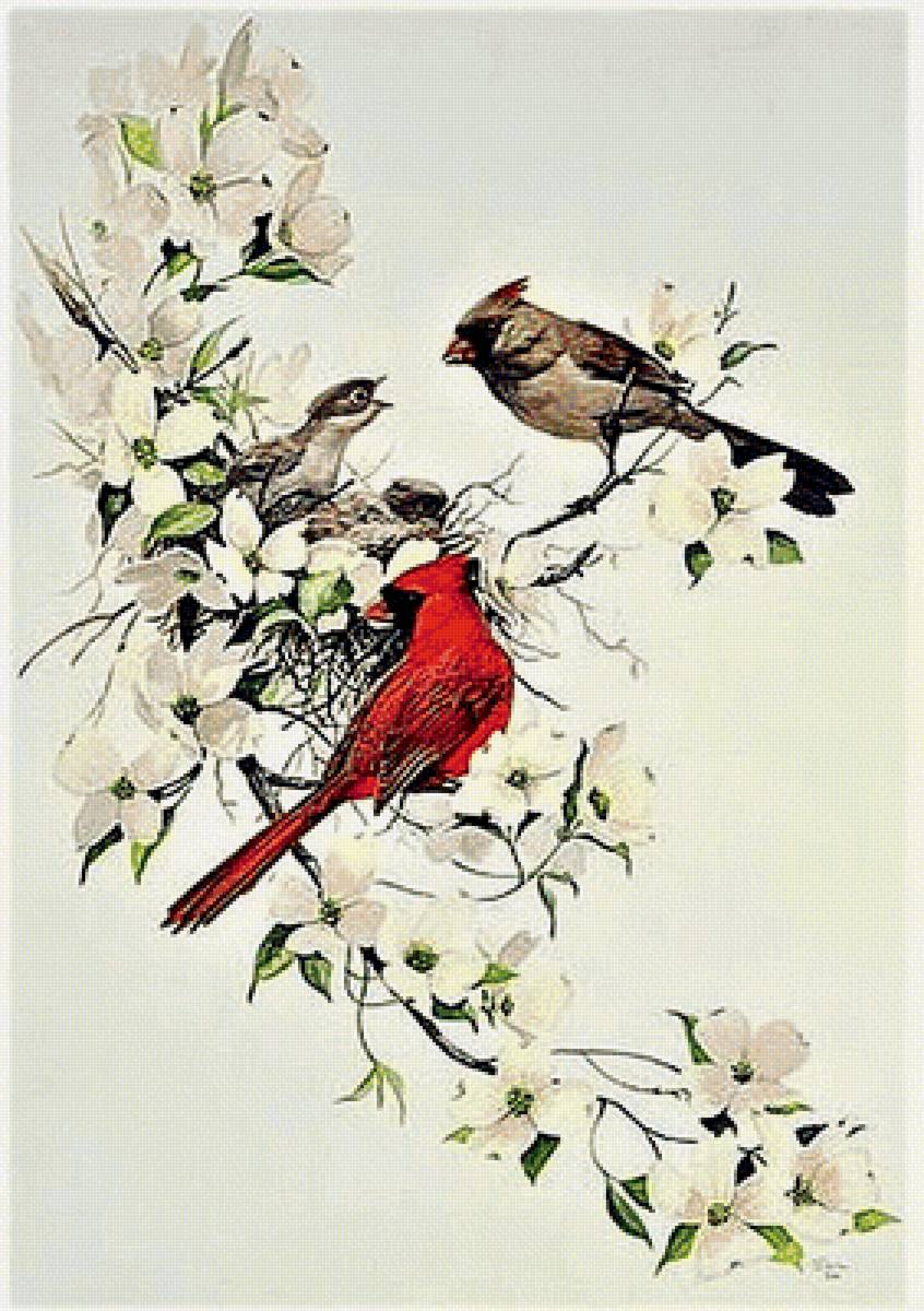 №1887135 - птицы - предпросмотр