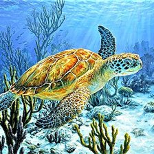 Схема вышивки «№1887142»