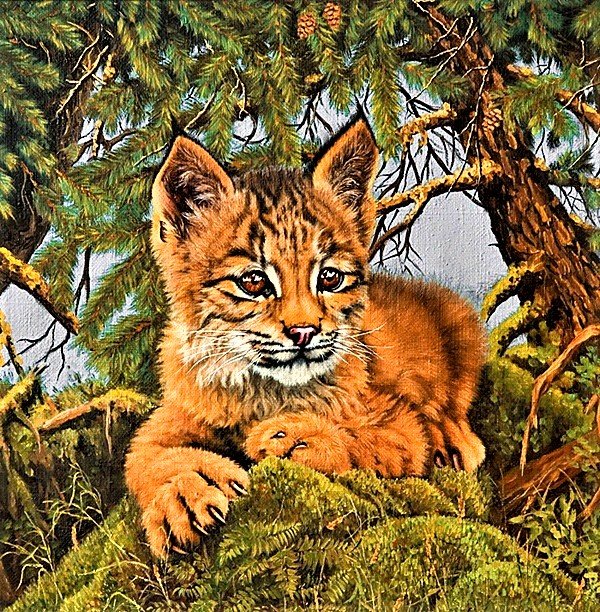 №1887149 - рысь - оригинал