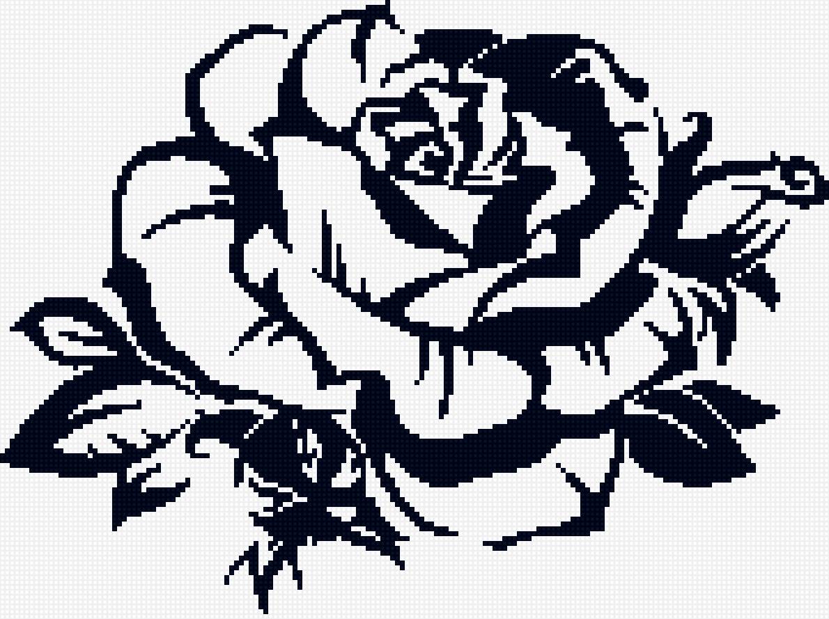 роза - черно-белая, цветы - предпросмотр