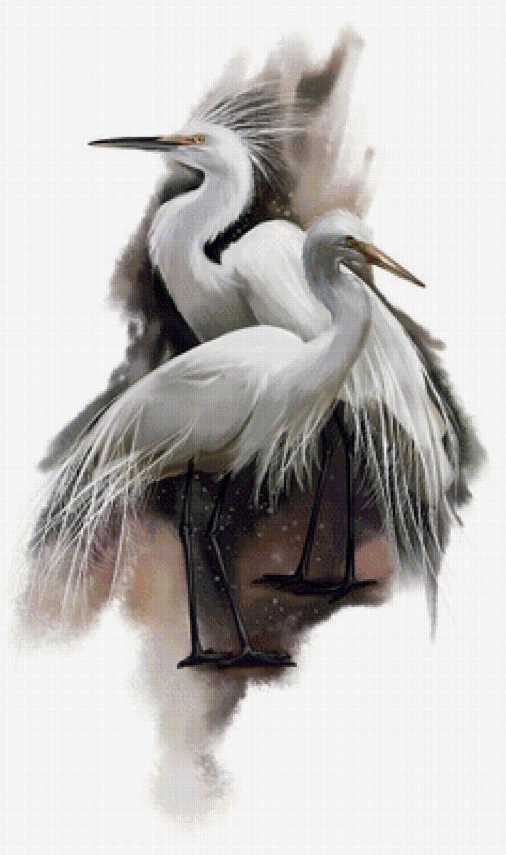 Птицы - птицы, рисунок - предпросмотр