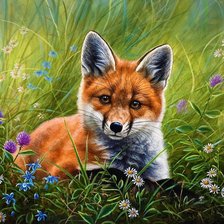 Схема вышивки «Лисичка»