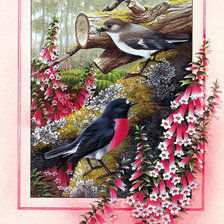 Схема вышивки «Робин»