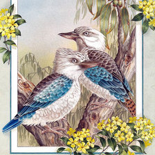 Оригинал схемы вышивки «Голубокрылая кукабурра» (№1888073)