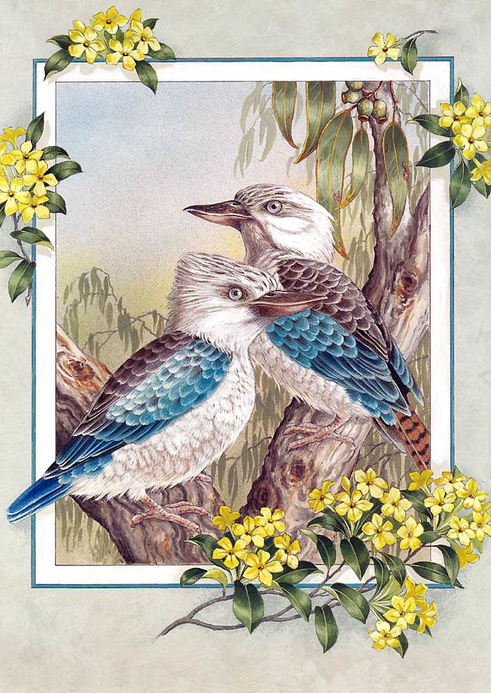 Голубокрылая кукабурра - птицы - оригинал