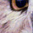 Предпросмотр схемы вышивки «Сова» (№1888158)