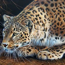 Схема вышивки «Леопард»