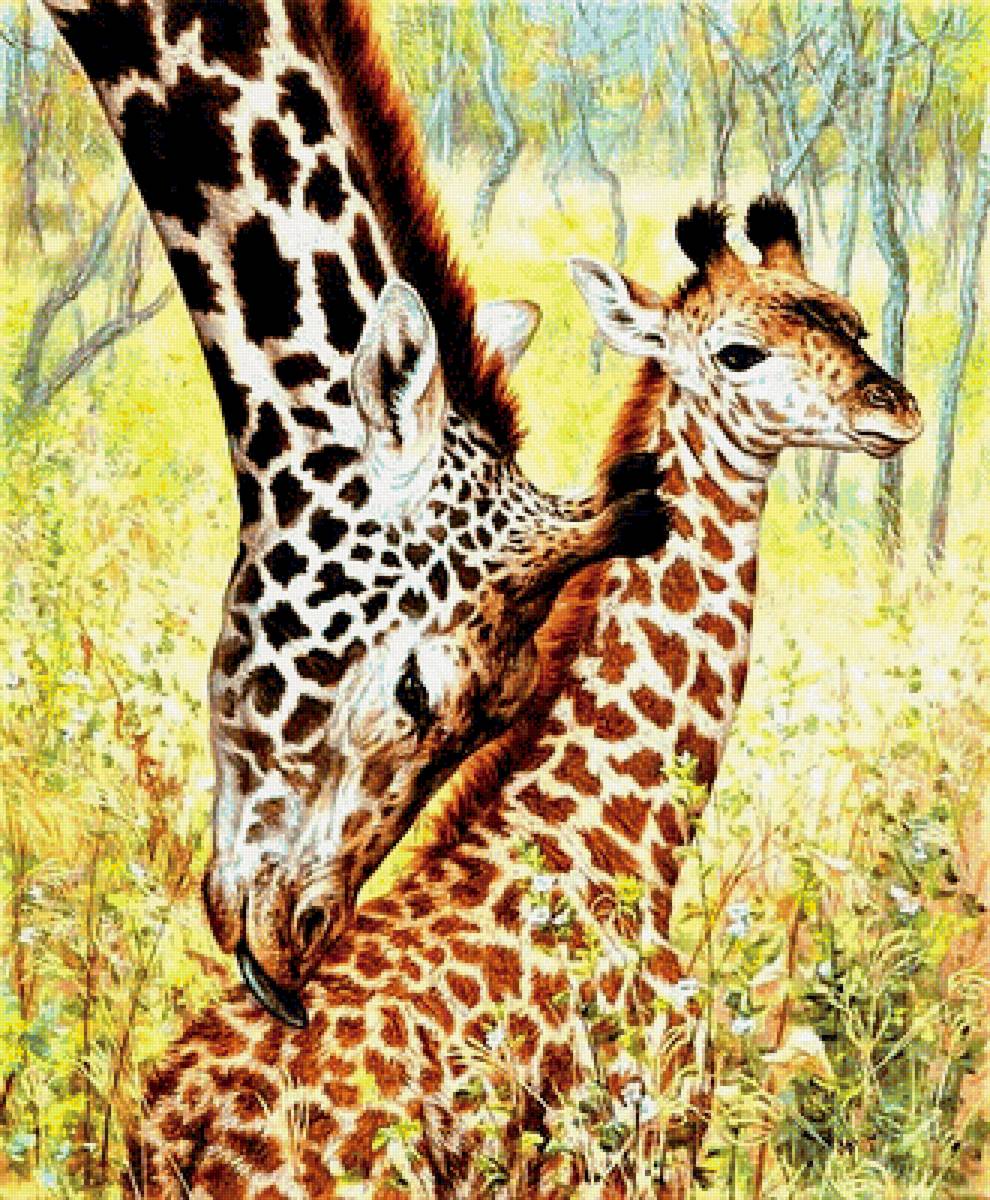 №1888700 - жирафы - предпросмотр