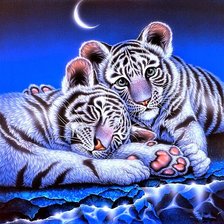 Схема вышивки «№1888707»