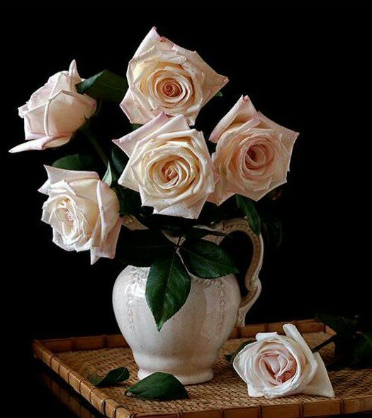 Розы - оригинал