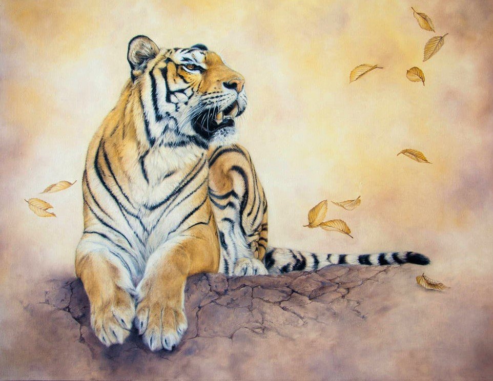 Тигр - тигр, рисунок, животные - оригинал