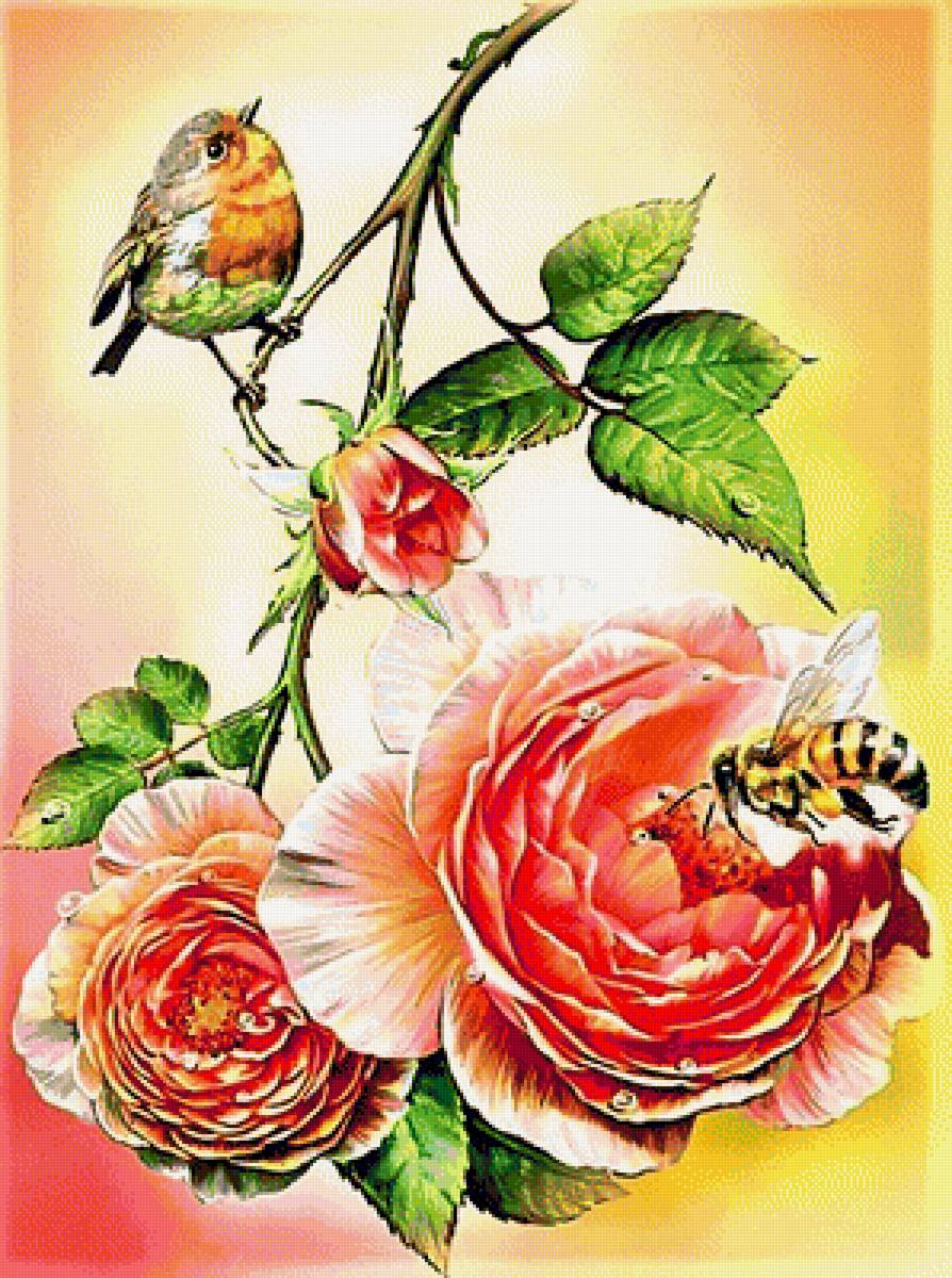 №1889117 - розы - предпросмотр