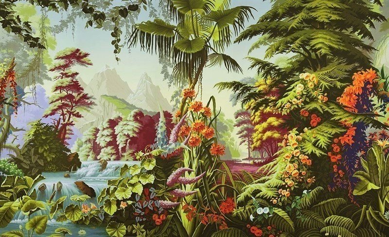 В тропическом лесу - природа, лес, горы, цветы - оригинал