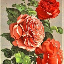 Схема вышивки «№1889261»