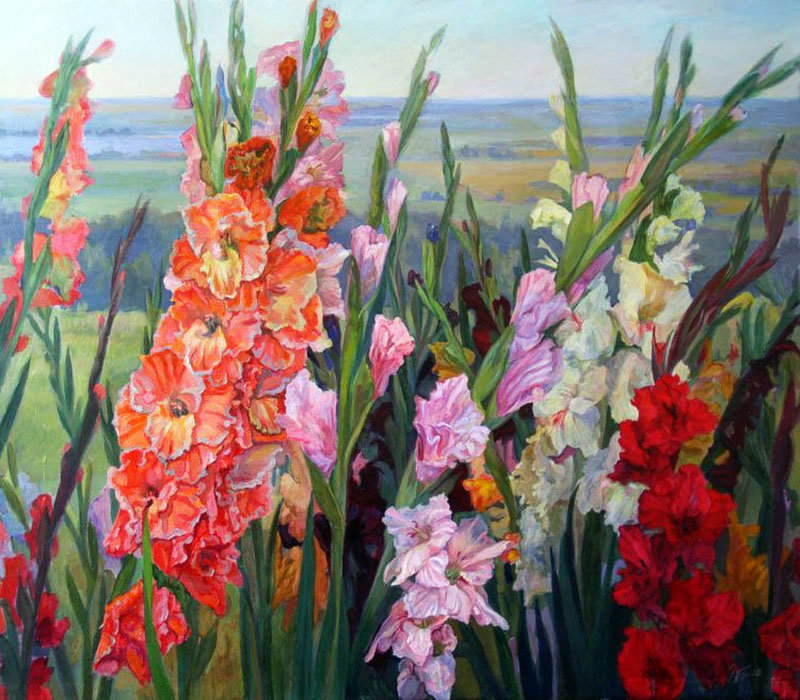 Гладиолусы - цветы, поле - оригинал