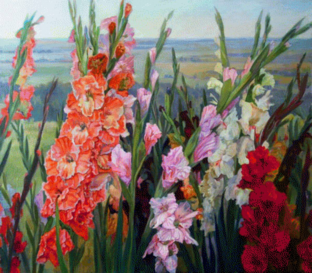 Гладиолусы - поле, цветы - предпросмотр