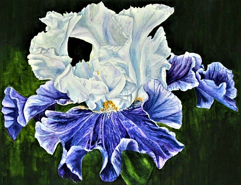 №1889851 - ирис - оригинал