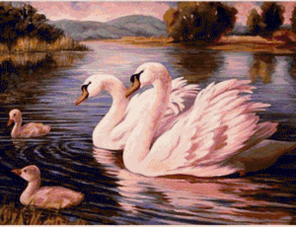 лебединая пара - пара, лебеди - предпросмотр