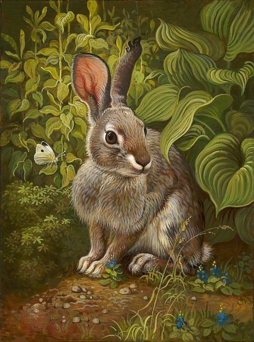 Кролик - животные, кролик, рисунок - оригинал