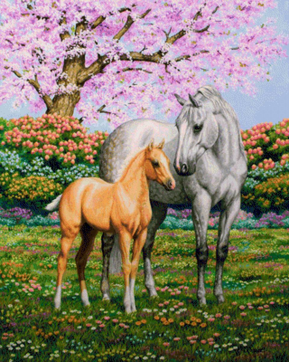 Лошади - животные, рисунок, цветы, лошадь, лето, лошади - предпросмотр