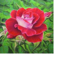 Схема вышивки «№1891074»