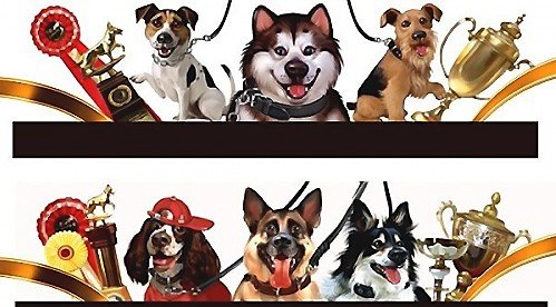 собаки - оригинал