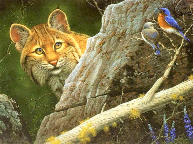 Рысь - лес, птички, рисунок, природа, животные, рысь, птицы - оригинал