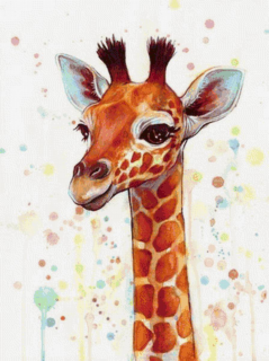 Жираф - животные, рисунок, жираф - предпросмотр