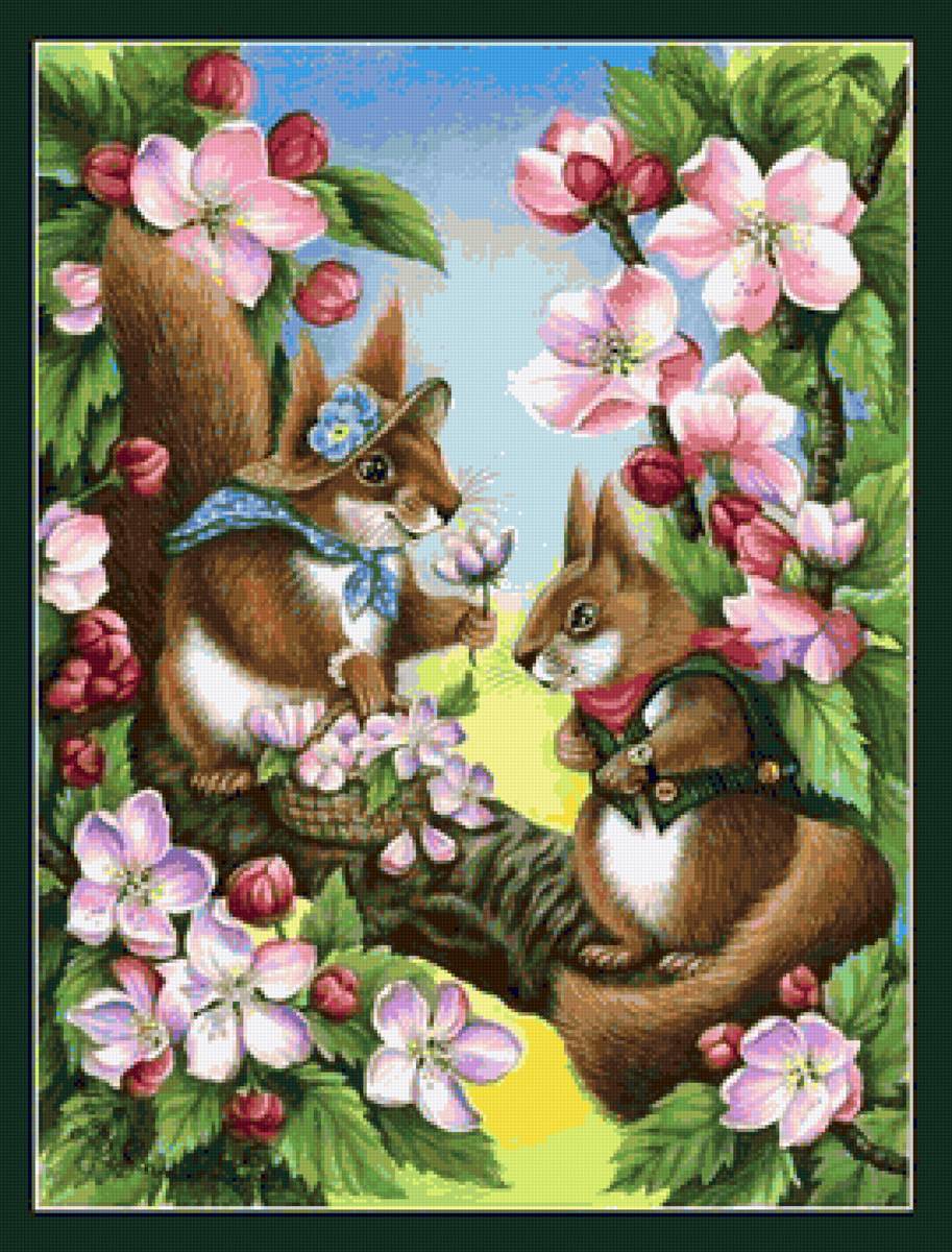 белки - предпросмотр