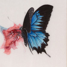 Оригинал схемы вышивки «Синяя бабочка» (№1891987)