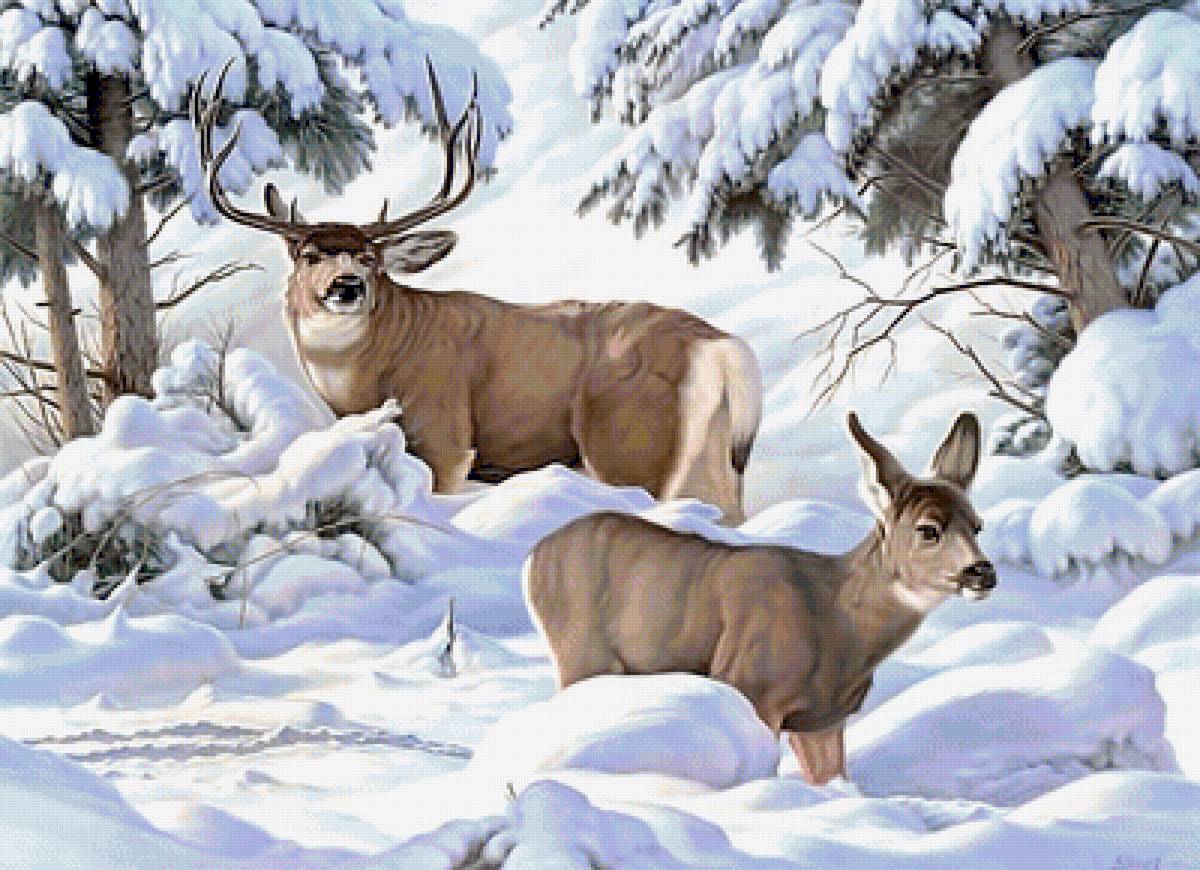 Серия "Олени". Зима - пейзаж, олени, животные, зима - предпросмотр