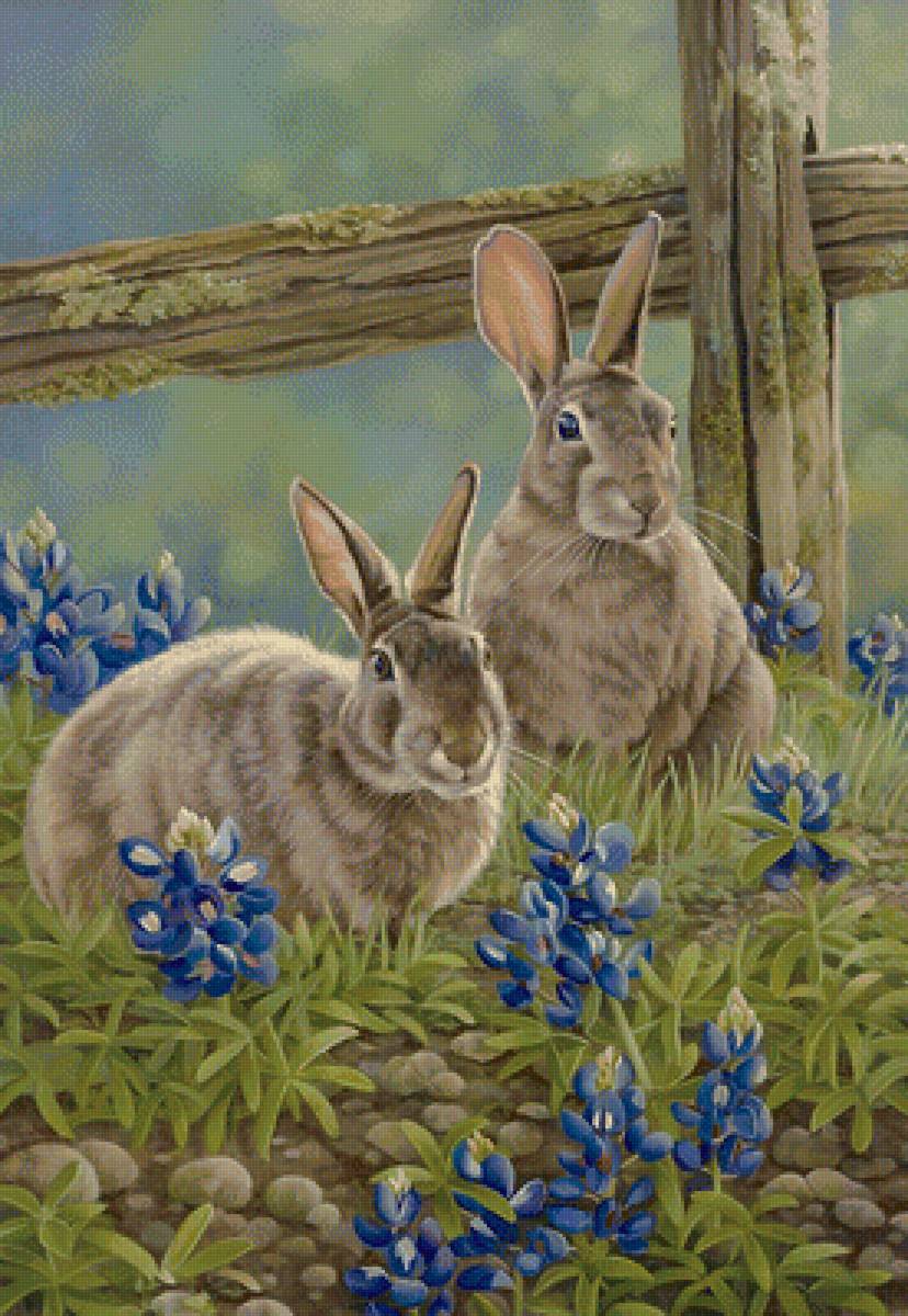Кролики - животные, кролик, рисунок, кролики, цветы - предпросмотр