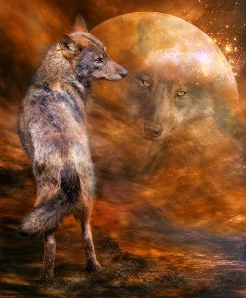 Волк - животные, рисунок, волк, луна - оригинал