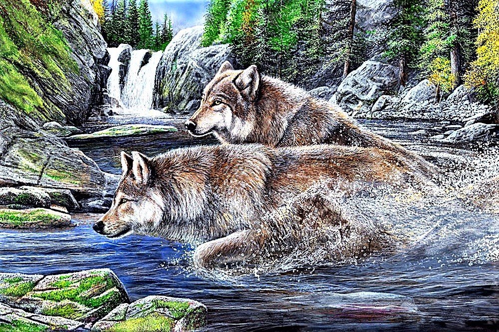 №1892164 - волки - оригинал