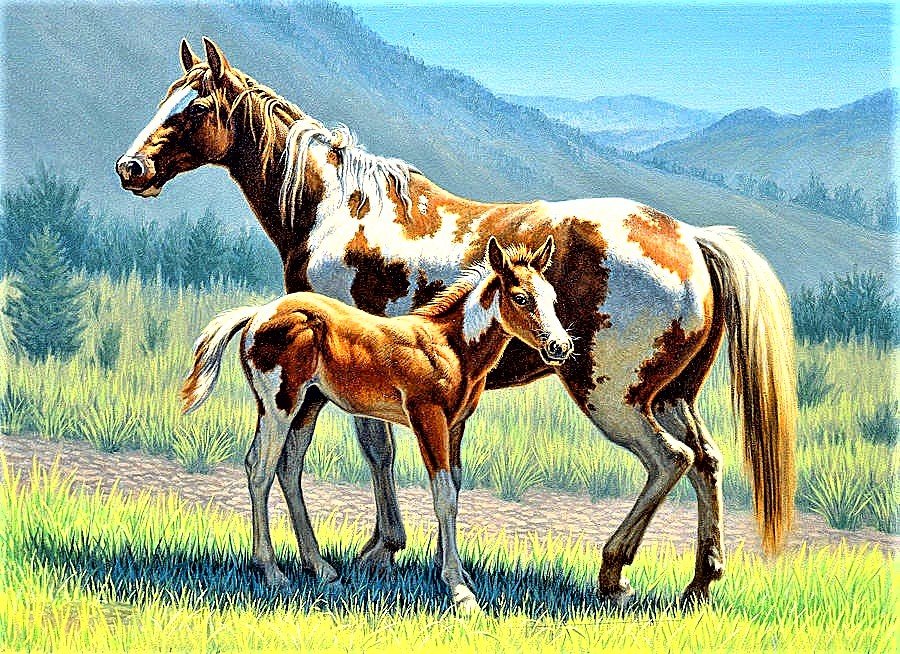 №1892173 - лошади - оригинал