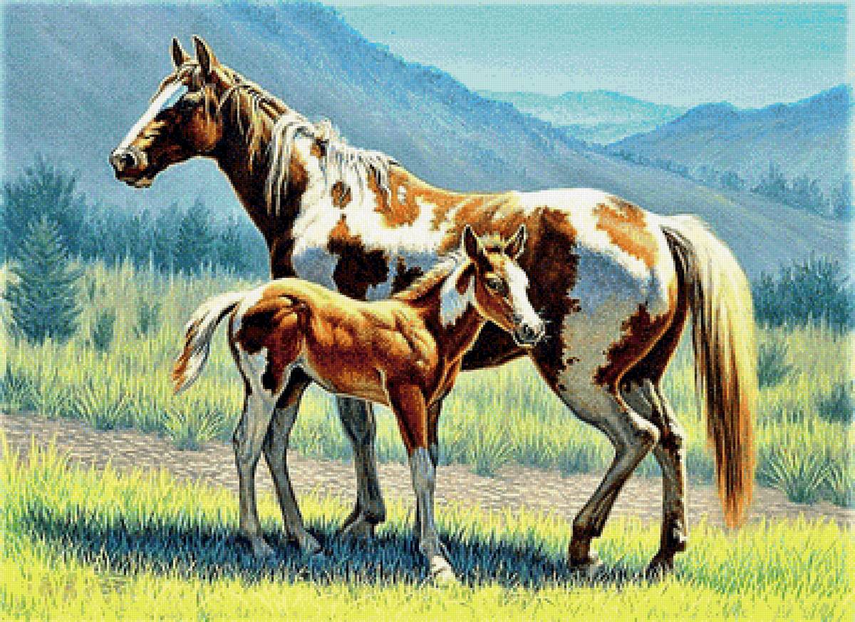 №1892173 - лошади - предпросмотр