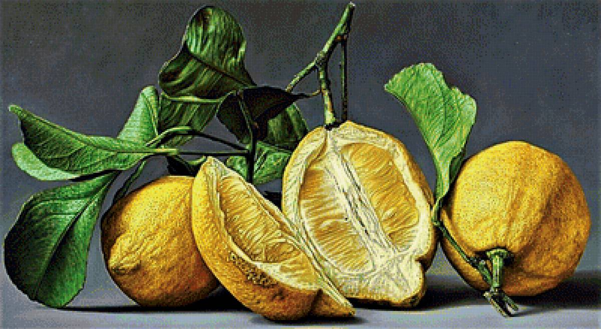 №1892180 - лимоны - предпросмотр