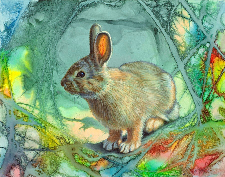 Кролик - кролик, рисунок, животные - оригинал