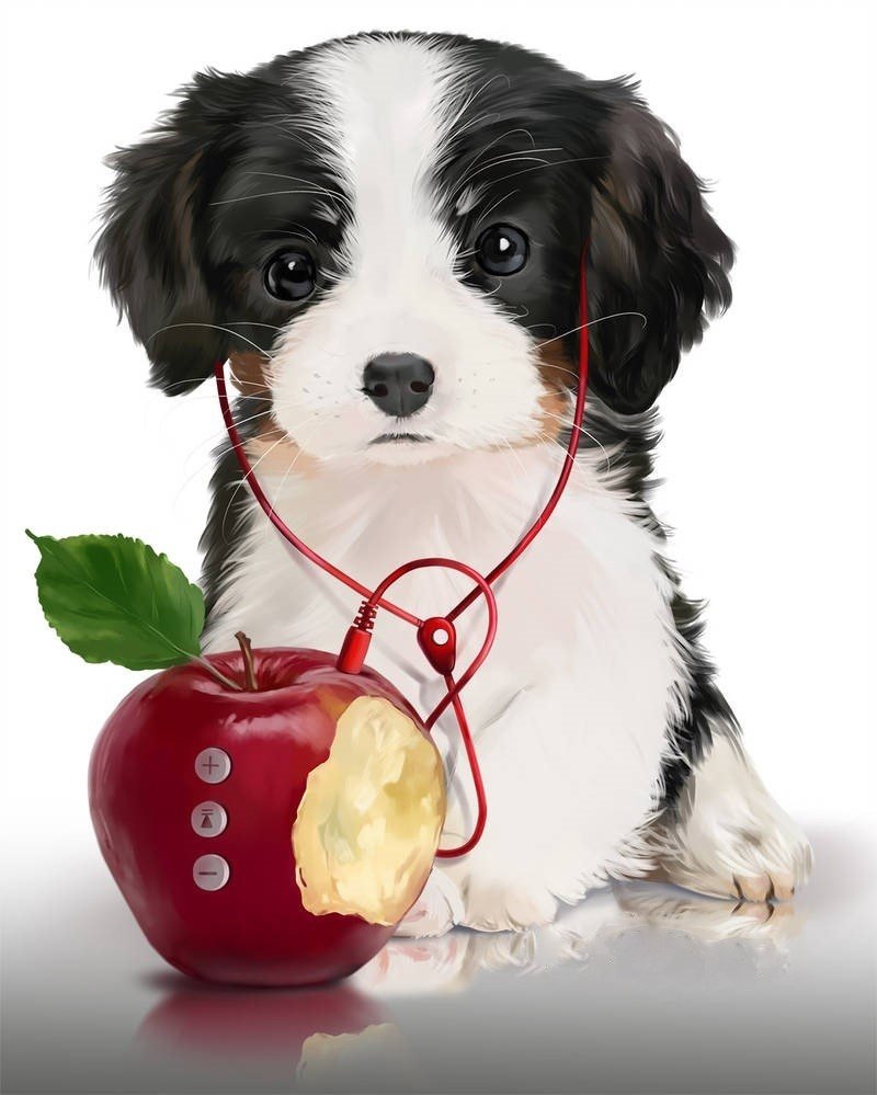 Щенок - рисунок, собака, плеер, яблоко, щенок, животные - оригинал