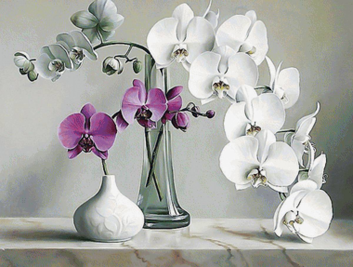 №1892761 - предпросмотр