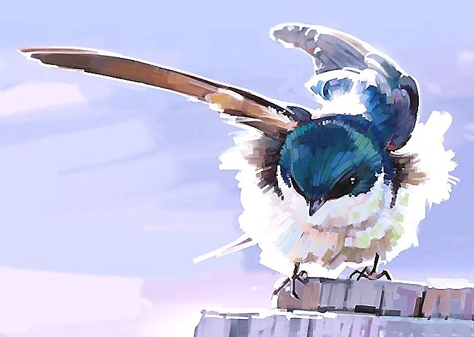 птичка - оригинал