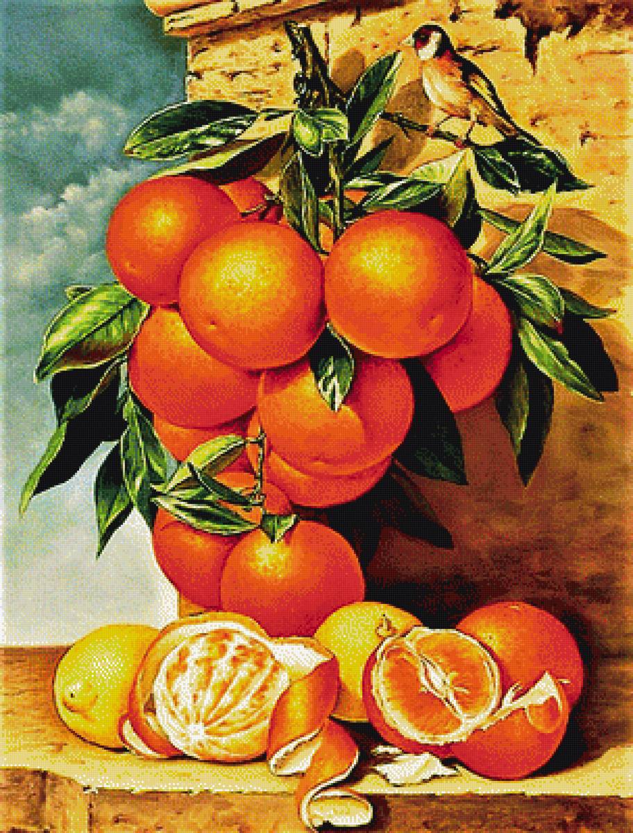 №1892874 - апельсины - предпросмотр
